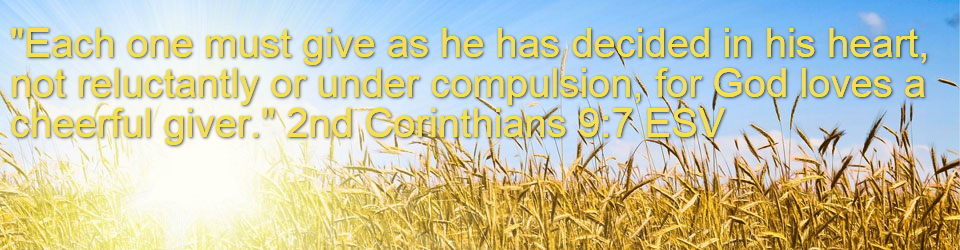 Wheat Field